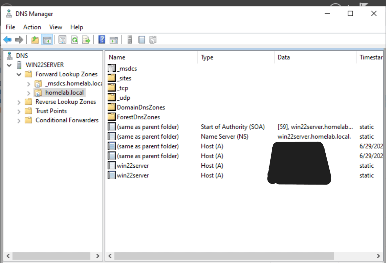 DNS Manager showing the homelab.local forward lookup zone